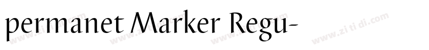 permanet Marker Regu字体转换